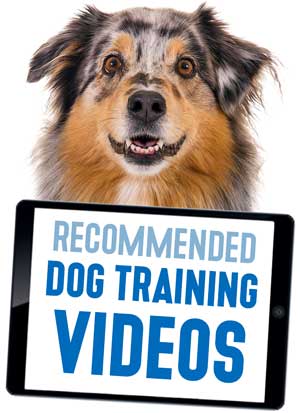 Recommended Dog Training Videos