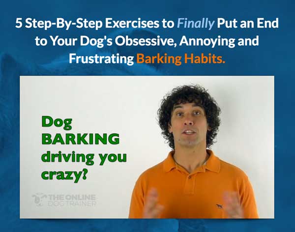 5 Step-By-Step Exercises to Finally Put an End to Your Dog's Obsessive, Annoying and Frustrating Barking Habits.