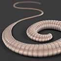 Realistic 3D rendering of a whipworm (Trichuris vulpis).