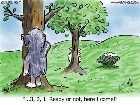 Australian Shepherd Cartoon