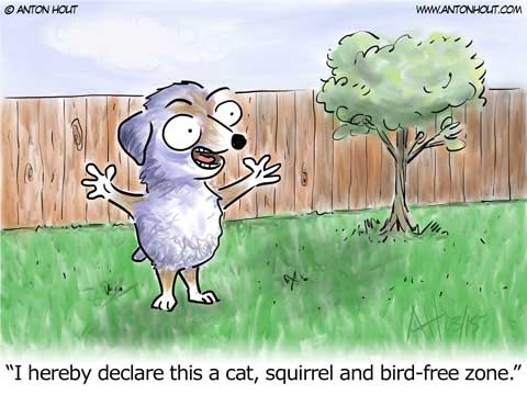 Australian Shepherd Cartoon