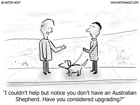 Australian Shepherd Cartoon