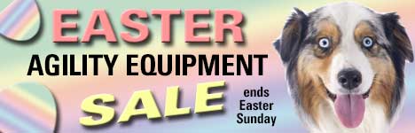 Affordable Agility Spooktacular Sale