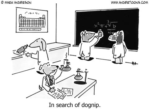 Cartoon Of The Month