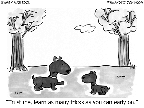 Cartoon Of The Month