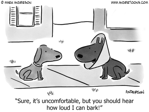 Cartoon Of The Month