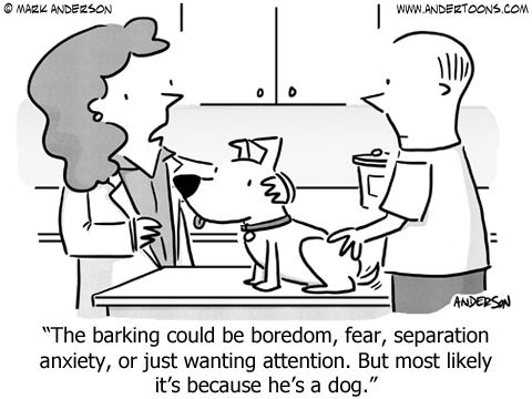 Cartoon Of The Month