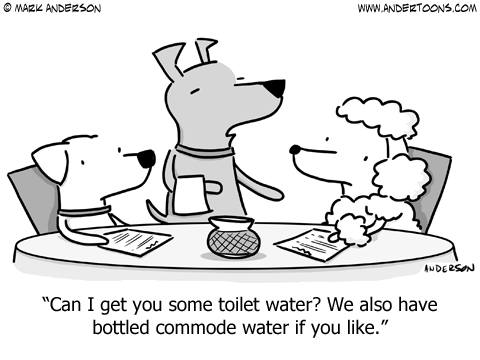 Australian Shepherd Cartoon