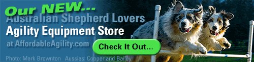 Australian Shepherd Lovers Affordable Agility Equipment Store