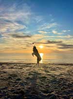 Australian Shepherd Photo of the Month