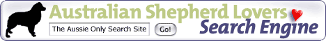 Australian Shepherd Lovers Search Engine