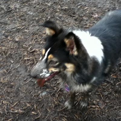 Moments after the rain and mudhole