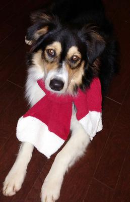 Ready for the holidays!