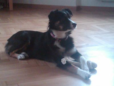 this is my female gracie