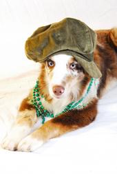 The hottest dog around