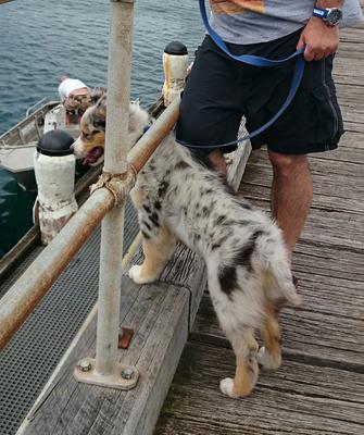 Watching the fishermen