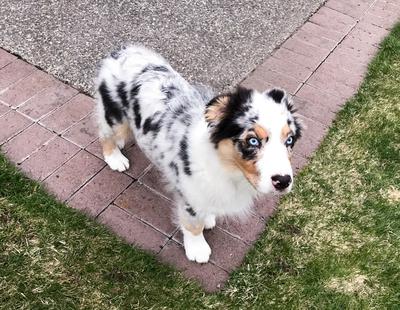 Awaiting his exercise