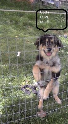 I am not that Big, am I?