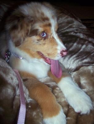 Summer Chill'n out on her pillow