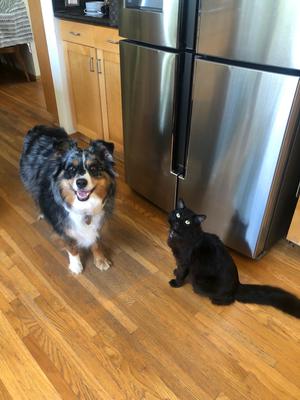 Flora loves her kitty