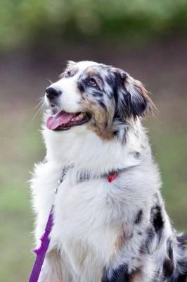 another glamour shot !!....