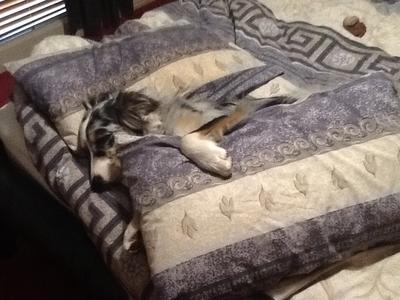 me just blending in ......