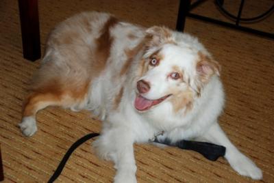 Bambina at the Marriott