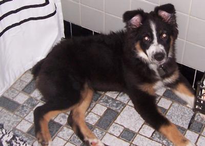 Hanging out while I take a shower