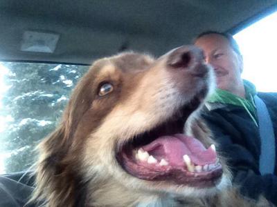 Cruising in the pickup