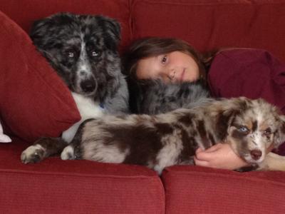 Blue, Coco & Raighney 