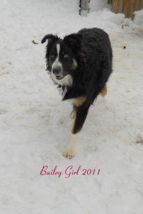 Bailey Girl