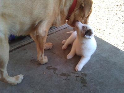 My first day at home- I love my brother