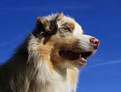 Original reference photo