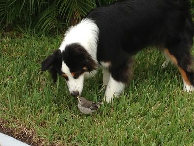 Oliver with a baby bird.