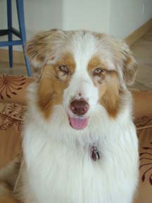 Relaxed and elegant GG