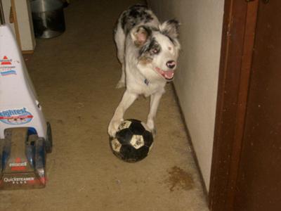 Gracie playing soccer