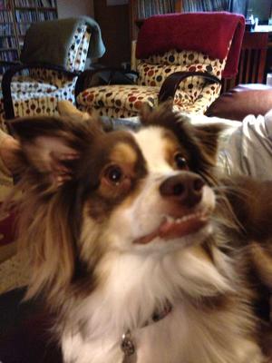 Showing his cute little underbite