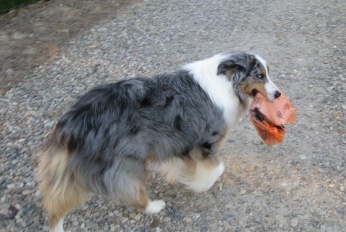 Take the paper to mommy