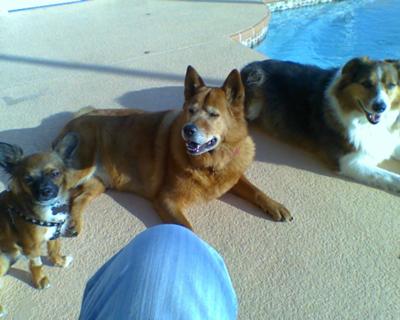 Keito, Luke, and Kayla