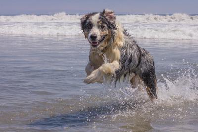 Like Poseidon emerging from the sea