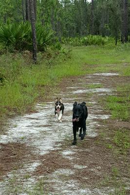 Saturday morning hikes!
