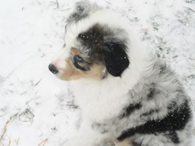 baby Logan first snow