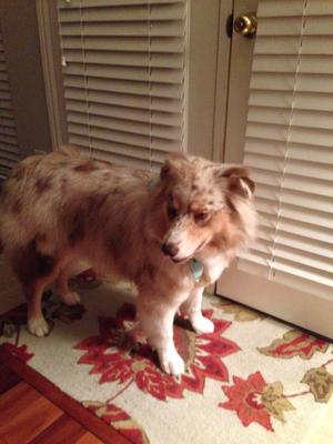 Ready for another adventure