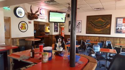 Maggie hanging out at Charlie's 