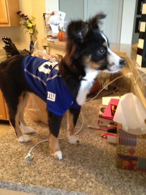 He was very happy about the Giants Superbowl win!