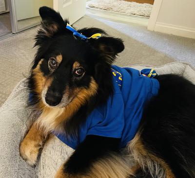 Mercy was the best football cheerleader