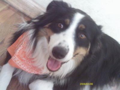 My beautiful baby (: