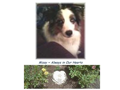 Missy ~ Always in our Hearts