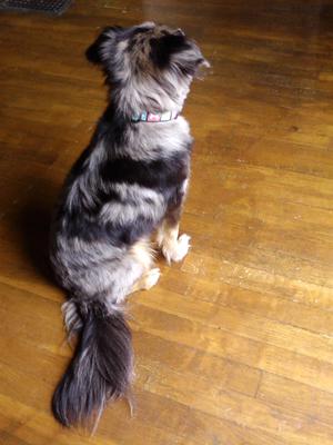 Am I not a handsome fellow?