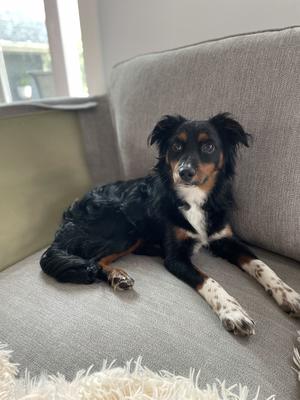 Moses, Fierce Protector of Mom